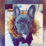 Daisymckenna - @fullout_daisy_xo - Instagram