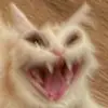 ᴅᴀɪsʏ ᴀɴᴅ ᴍᴄᴋᴇɴɴᴀɴ♡︎ - @simplydaisymckennan - TikTok