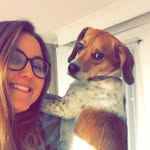 Daisy Mae Spicer-McManus - @daisymaespicepup - Instagram