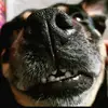 Daisy mcmanus - @_.daizy._04 - TikTok