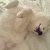 Daisy McWilliams - Facebook