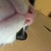 Daisy Meeks - Facebook