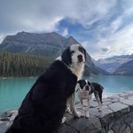 @meeksndaisy - Instagram