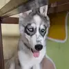 Daisy Mena - @daisymena83 - TikTok