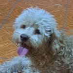 Daisy Mena - @eikomurillo_ - Instagram