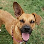 Daisy Duke Meyer - @daisydukemeyer - Instagram