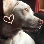 daisy meyer - @dangheckindaisy - Instagram