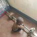 Michael Dausi - Facebook