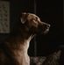 Komo Daisy Milan Tatum - Facebook