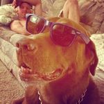 Daisy & Miles - @daisy_miles_ - Instagram