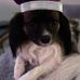Daisy Miller - Facebook