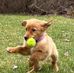 Daisy Miller - Facebook