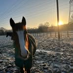 Daisy Mulligan - Facebook