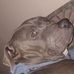 Daisy Miner - Facebook