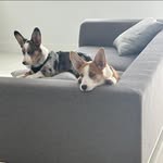 Daisy Mireles - @mireles.daisy - Instagram