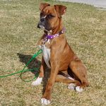 Daisy Mae Mobley - @hey.hey.daisy.mae - Instagram