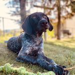Daisy Monahan - @adventuresofdaisygsp - Instagram