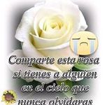Daisy Isabel Moncada Torres - @daisyisabelmoncada - Instagram