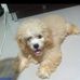 Daisy Monreal - Facebook
