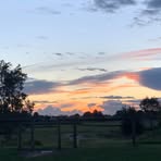 Daisy Mooney - Facebook