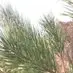 daisymooney19 - @daisymooney19 - TikTok
