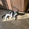daisy morin - @daisy.morin - TikTok