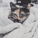 Daisy Morse - @moredaisyplease - Instagram