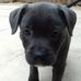 Daisy Mortimer - Facebook