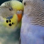 Daisy Morton - @dmorton399 - Instagram