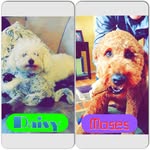 @daisy_moses23 - Instagram