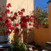 Daisy05 - @daisy.mota123 - TikTok