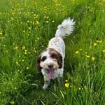 Daisy - @dais.ymott - Instagram