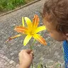 Daisy Motta Santos - @daisymottasantos - TikTok