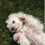 Daisy - @daisy_mueller - Instagram