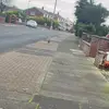 Daisy! <33 - @daisy.mullen - TikTok