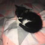 Daisy - @daisy_mullen12 - Instagram