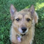 Daisy Doo Mullen - @daisy_daisydoo - Instagram