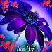 Daisy Muniz - Facebook