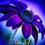 Daisy Muniz - @daisy.muniz00685 - Instagram