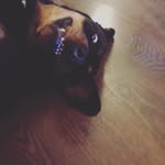 @daisy_munn341 - Instagram