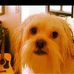 Daisy Murdock - Facebook