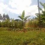 Daisy Mwangi - @daisy.mwangi.1238 - Instagram