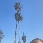 Daisy Najar - @daisy.najar.3158 - Instagram