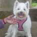 Daisy Napier - Facebook