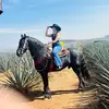 Daisy - @daisynaranjo - TikTok