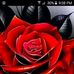 Daisy Naranjo - Facebook