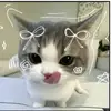 Daisy Nava - @dfluff8 - TikTok