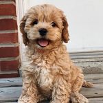 Daisy💛 - @_daisynaylor - Instagram