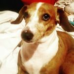 daisy duke neely - @daisy_duke05 - Instagram