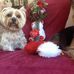 Daisy Neely - Facebook